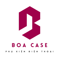 Logo Boa Case